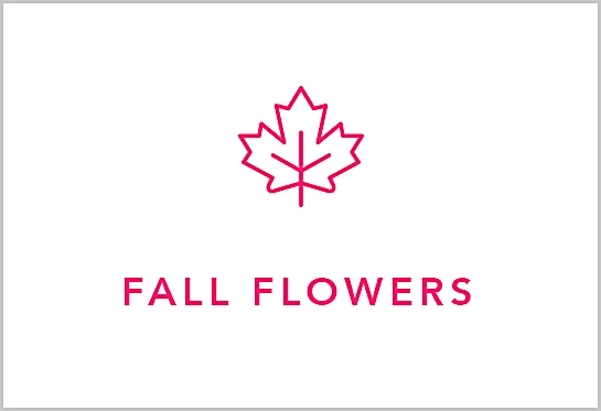 Shop Autumn Flowers